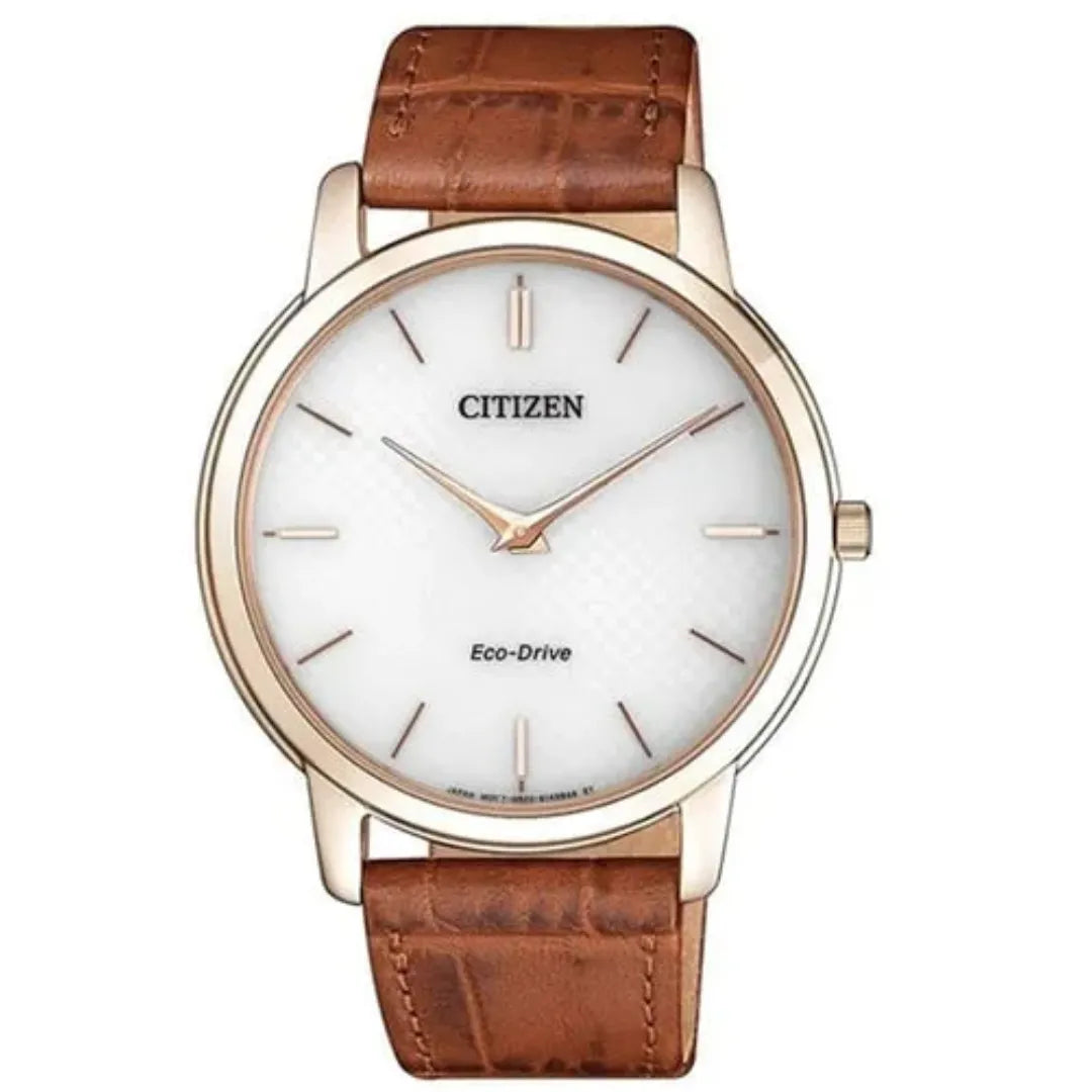 Citizen AR1133-15A Eco-Drive Standard Men Watch