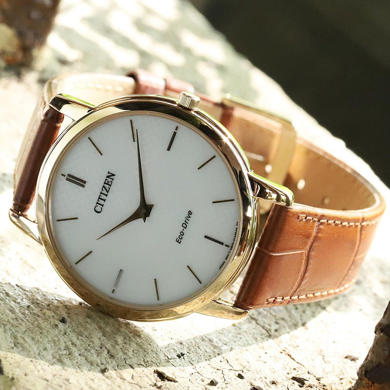 Citizen AR1133-15A Eco-Drive Standard Men Watch