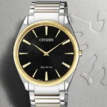 How to Choose the Perfect Citizen Eco Drive Watch?